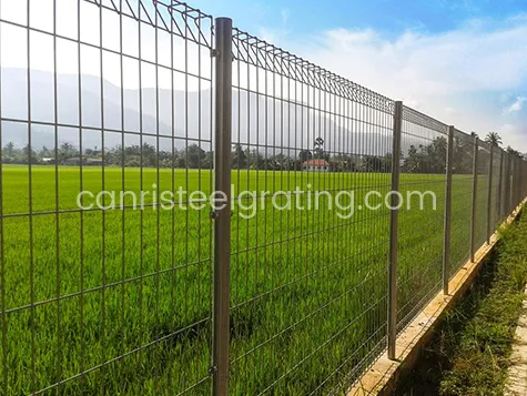 BRC fence with gray color and round post to protect the crops